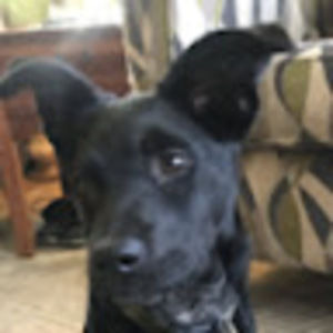 Meet your Posher, Jeff